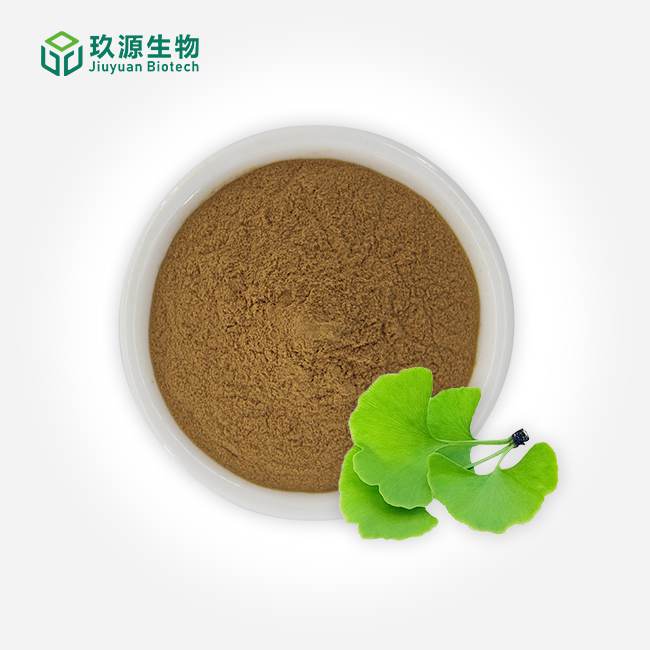 Ginkgo Biloba Extract Powder